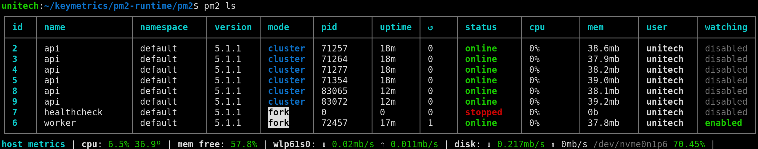 pm2 list output