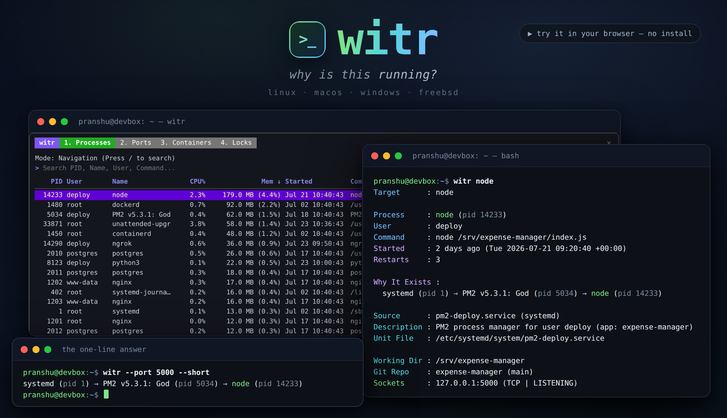 witr TUI and CLI showing why a node process is running