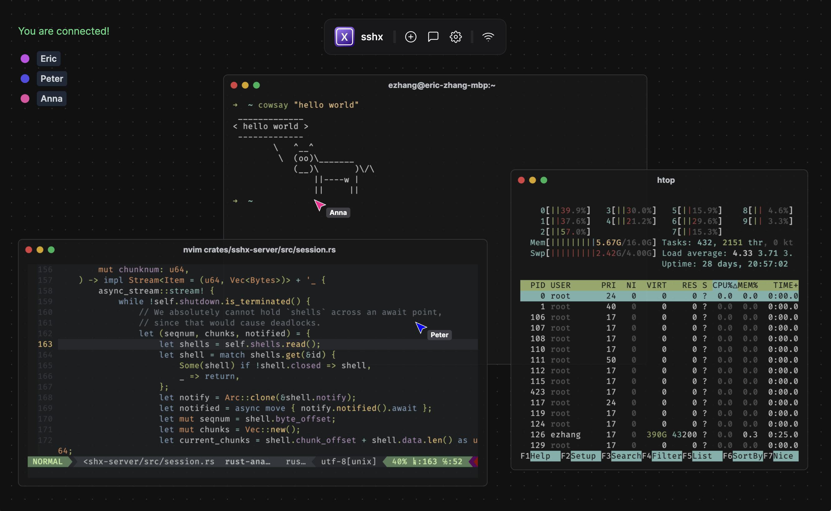 sshx shared terminal session in the browser