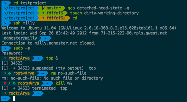 Agnoster theme in Oh My Zsh