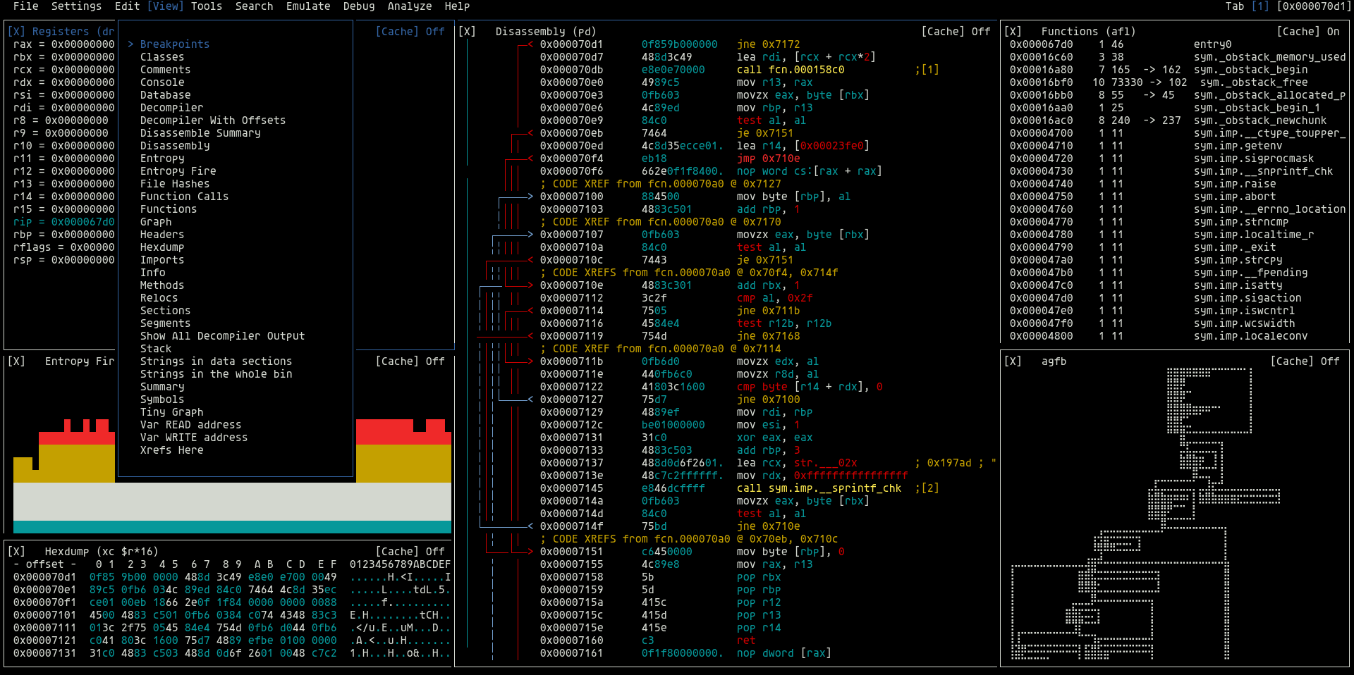 radare2 screenshot